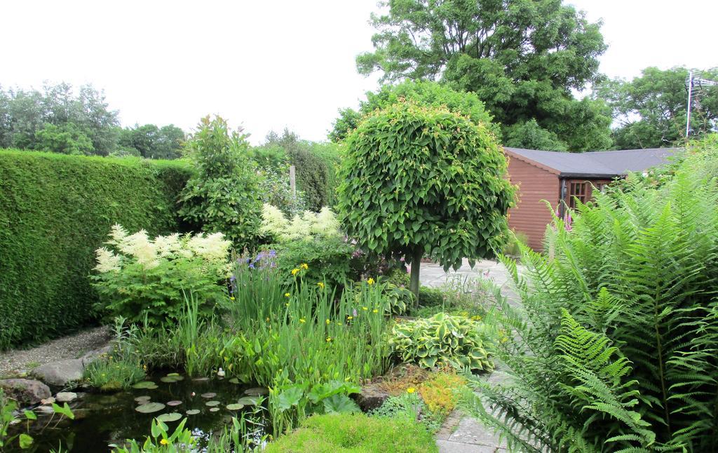 The Garden Lodge Llynclys Eksteriør bilde